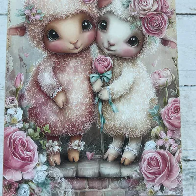 Carte postale couples de moutons 
